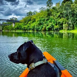 Meet your Posher, Tyler-jayne